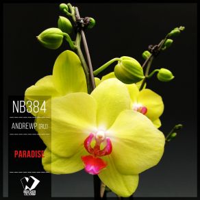Paradise (Original Mix) album cover