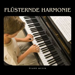 Flüsternde Harmonie: Ruhige Klaviermusik album cover