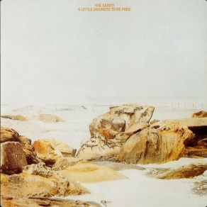 A Little Madness To Be Free album cover