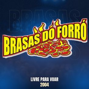Livre Para Voar - 2004 (Ao Vivo) album cover