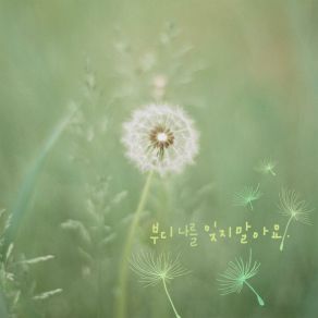 Don`t Forget Me album cover