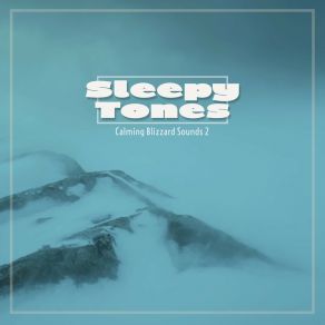 Sleepy Tones: Calming Blizzard Sounds 2 album cover