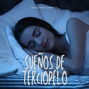 Sueños De Terciopelo: Música Para El Insomnio album cover