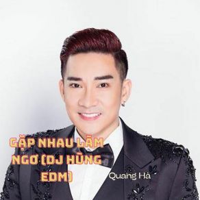 Gặp Nhau Làm Ngơ (Remix) album cover