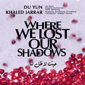 Du Yun: Where We Lost Our Shadows album cover