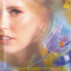 Von Der Schönheit Und Zerbrechlichkeit Der Dinge album cover