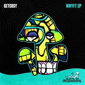 WHYFT album cover
