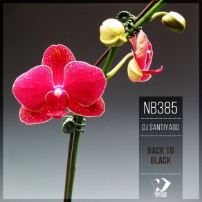 Back To Black (Original Mix) album cover