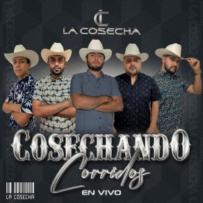 Cosechando Corridos (En Vivo) album cover
