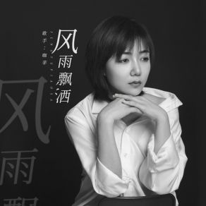 风雨飘洒 (DJ花荣版) album cover