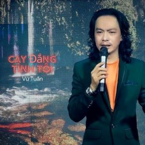 Cay Đắng Tình Tôi album cover