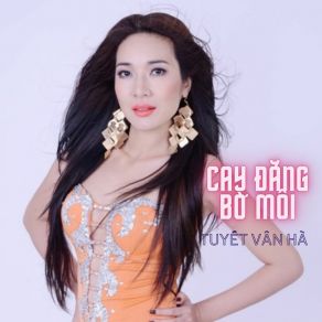 Cay Đắng Bờ Môi album cover