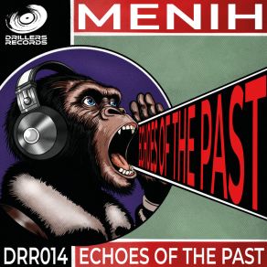Echoes Of The Past album cover