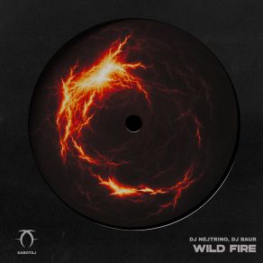Wild Fire album cover