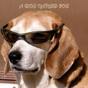 A Dog Named Joe album cover