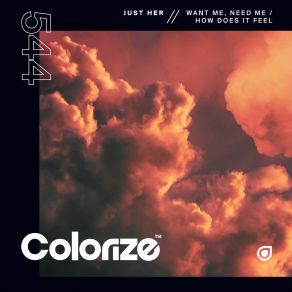 Want Me, Need Me / How Does It Feel album cover