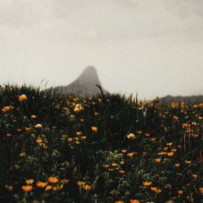 On The Mountain album cover