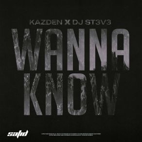 Wanna Know album cover