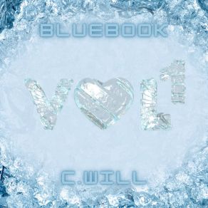Bluebook Vol. 1 album cover