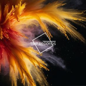 Collision album cover