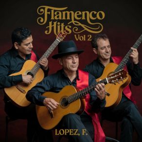 Flamenco Hits Vol. 2 album cover