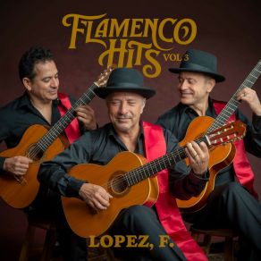 Flamenco Hits Vol. 3 album cover