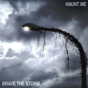 Haunt Me album cover