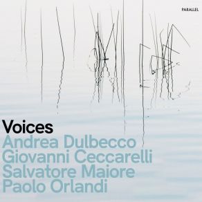 Voices album cover
