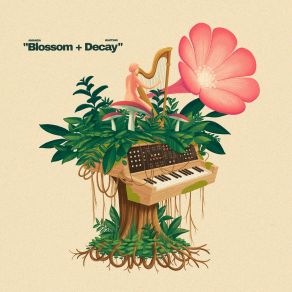 Blossom + Decay album cover