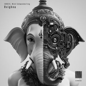 Avighna album cover