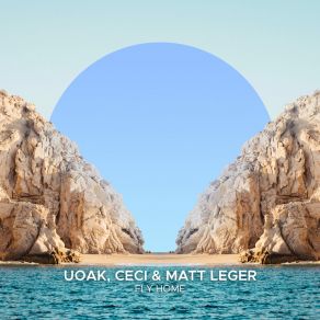 Fly Home album cover