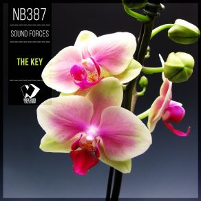 The Key (Original Mix) album cover