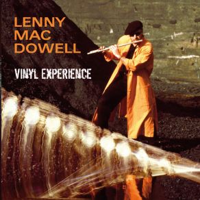 Vinyl Experience album cover