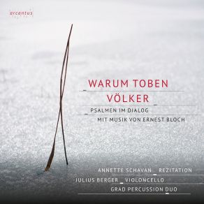 Warum Toben Die Völker album cover