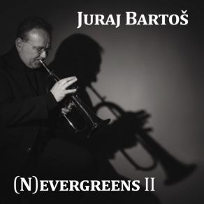 Evergreens II album cover