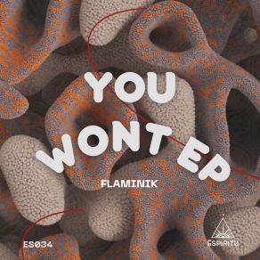 You Wont album cover