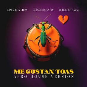 Me Gustan Toas album cover