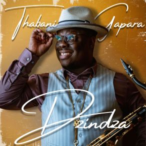 Dzindza album cover