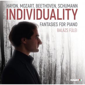 Haydn, Mozart, Beethoven, Schumann: Individuality - Fantasies For Piano album cover