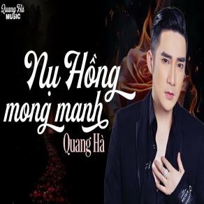 Nụ Hồng Mong Manh album cover
