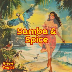 Samba & Spice album cover