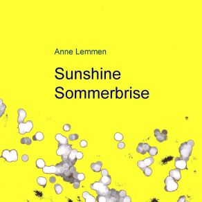 Sunshine Sommerbrise album cover