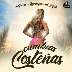 Puras Charangas Pal Baile album cover