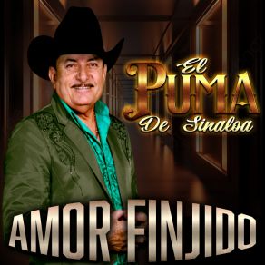 Amor Finjido album cover