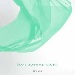 Soft Autumn Light album cover