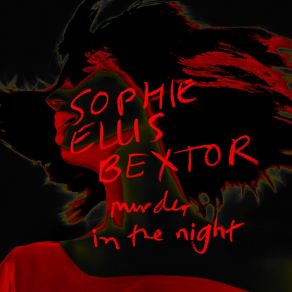 Murder In The Night album cover