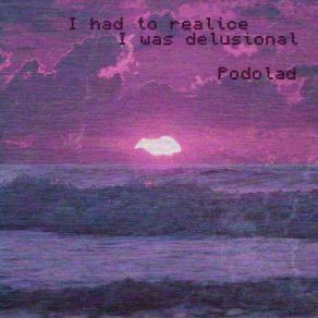 I Had To Realize I Was Delusional album cover
