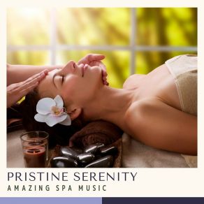 Pristine Serenity: Relaxing Massage Therapy album cover