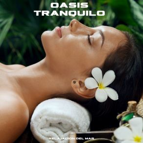 Oasis Tranquilo: Música Calmante Spa album cover