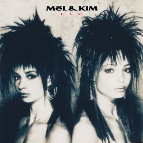 F. L. M. (2023 Remaster) album cover
